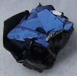 covellite